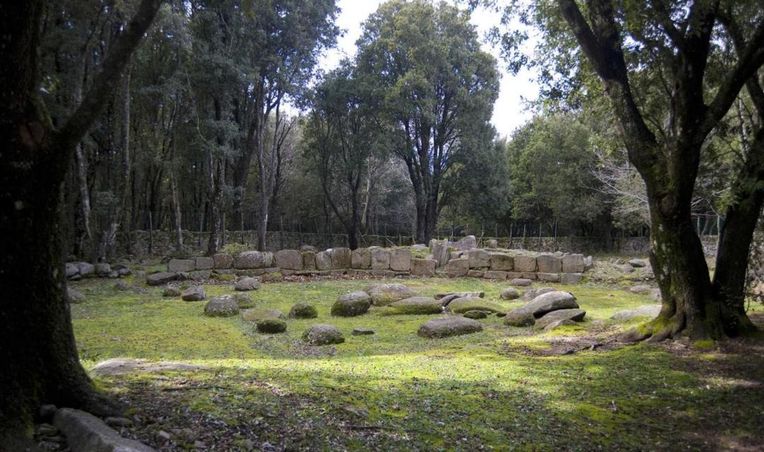 Photo of Others in Osini