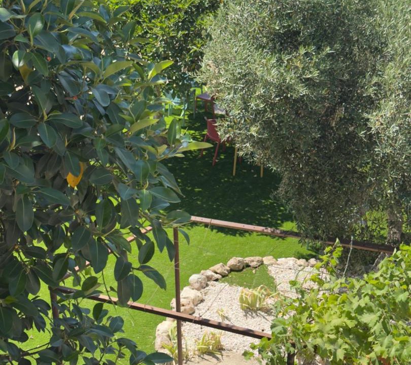 Photo of Others in Sassari