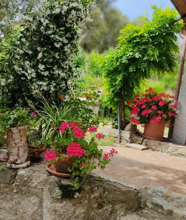 Photo of Others in Berchidda
