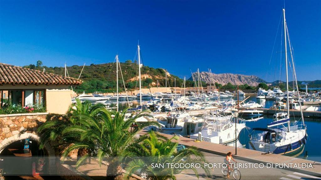 Photo of Others in San Teodoro