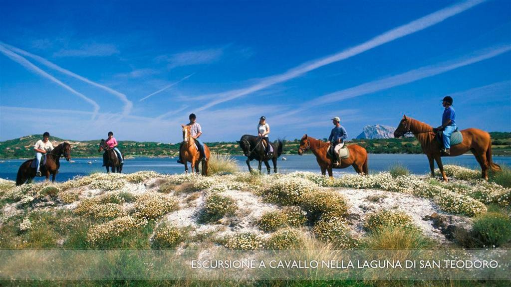 Photo of Others in San Teodoro