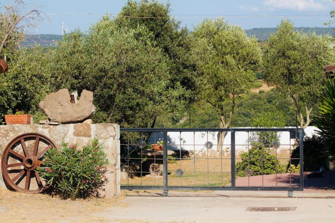 Photo of Others in Chiaramonti