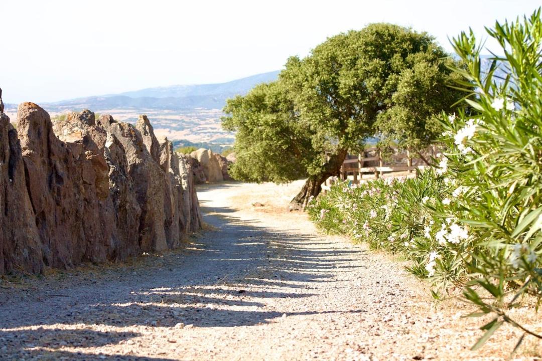 Photo of Others in Chiaramonti