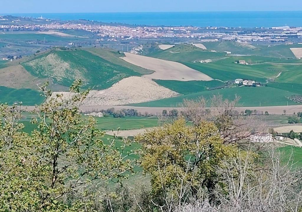 Photo of Others in Mafalda