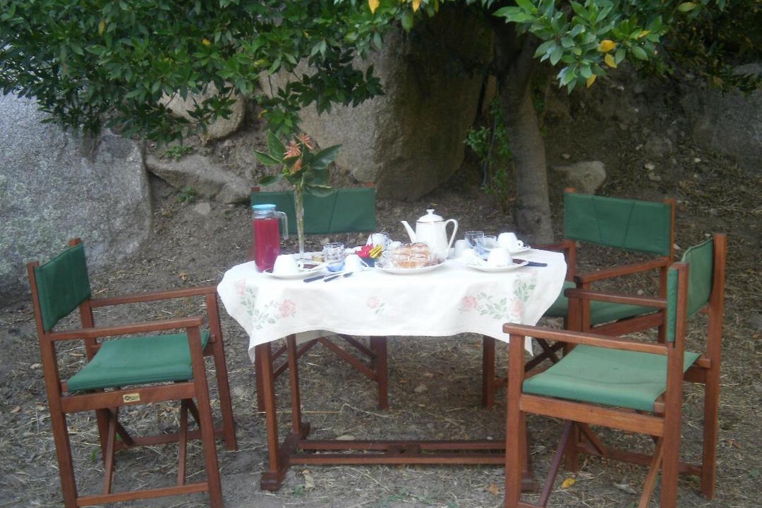 Photo of Others in Sarule