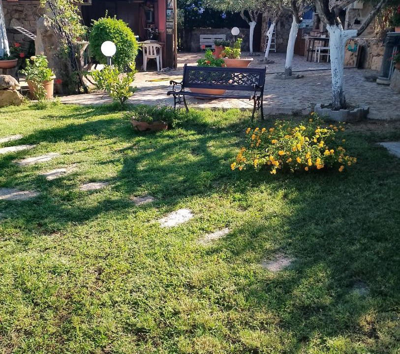 Photo of Others in Luddui
