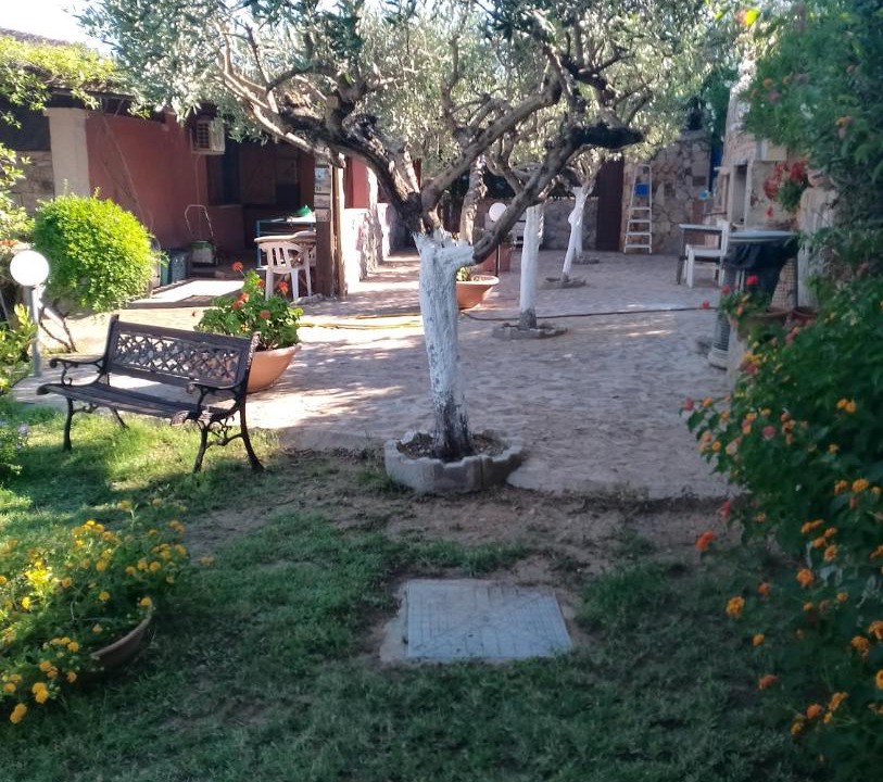 Photo of Others in Luddui