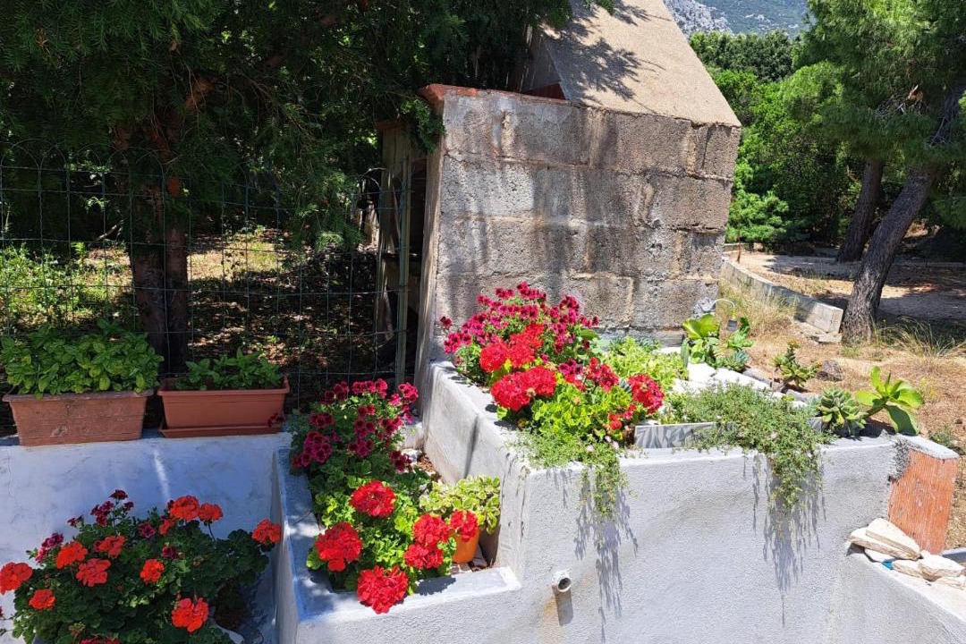 Photo of Others in Cala Gonone