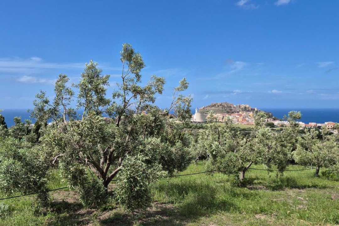 Photo of Others in Castelsardo