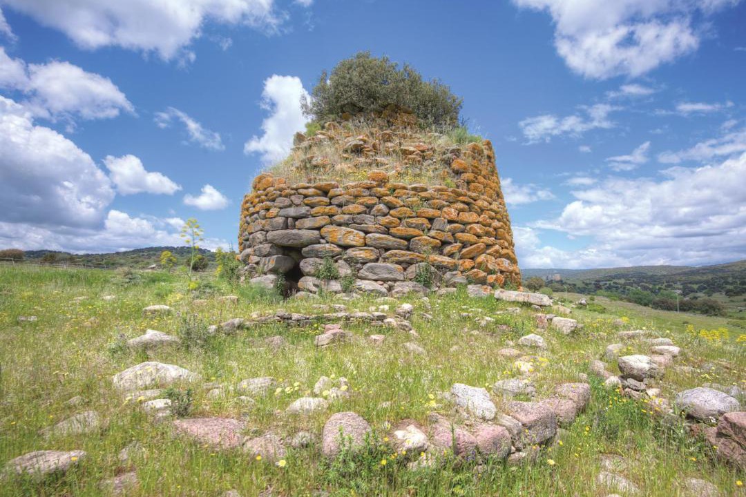 Photo of Others in Oniferi