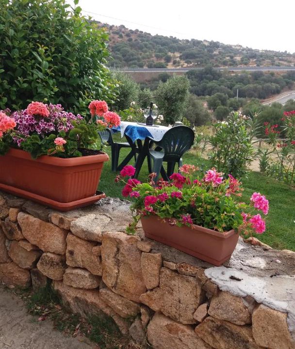 Photo of Others in San Teodoro