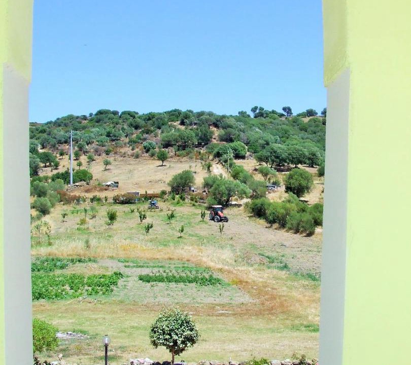 Photo of Others in Luddui