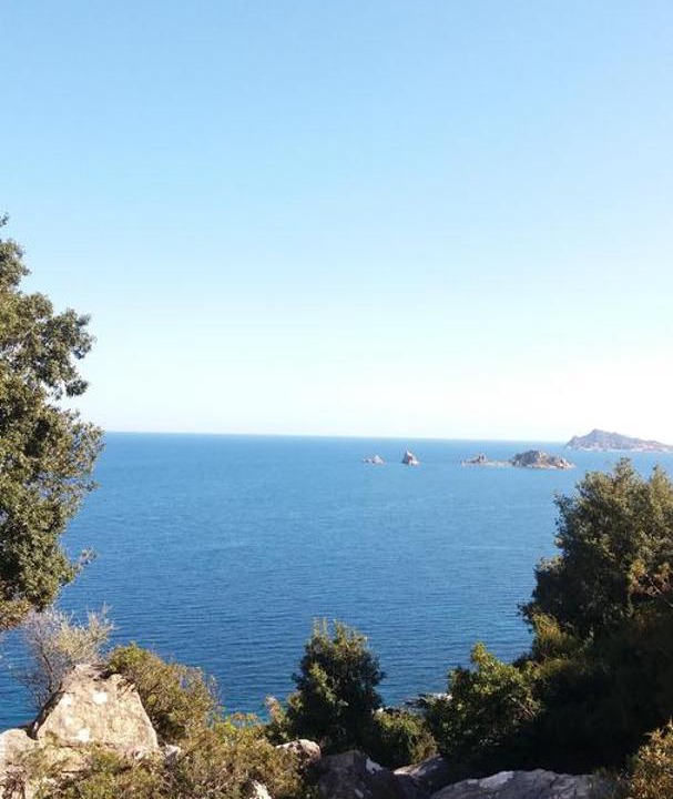 Photo of Others in Arbatax