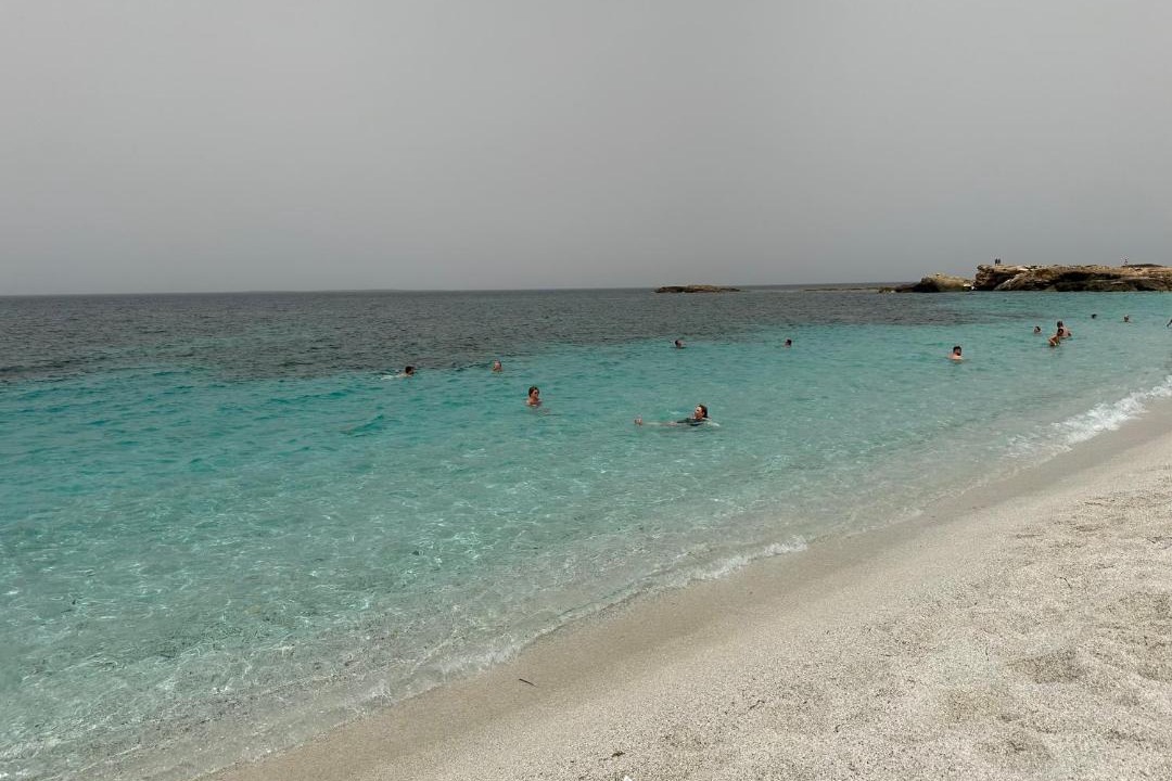 Photo of Others in Terralba