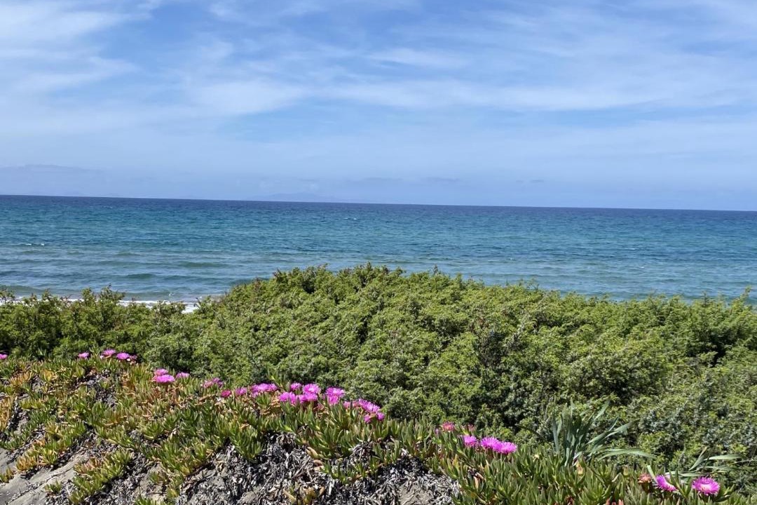 Photo of Others in Eden Beach