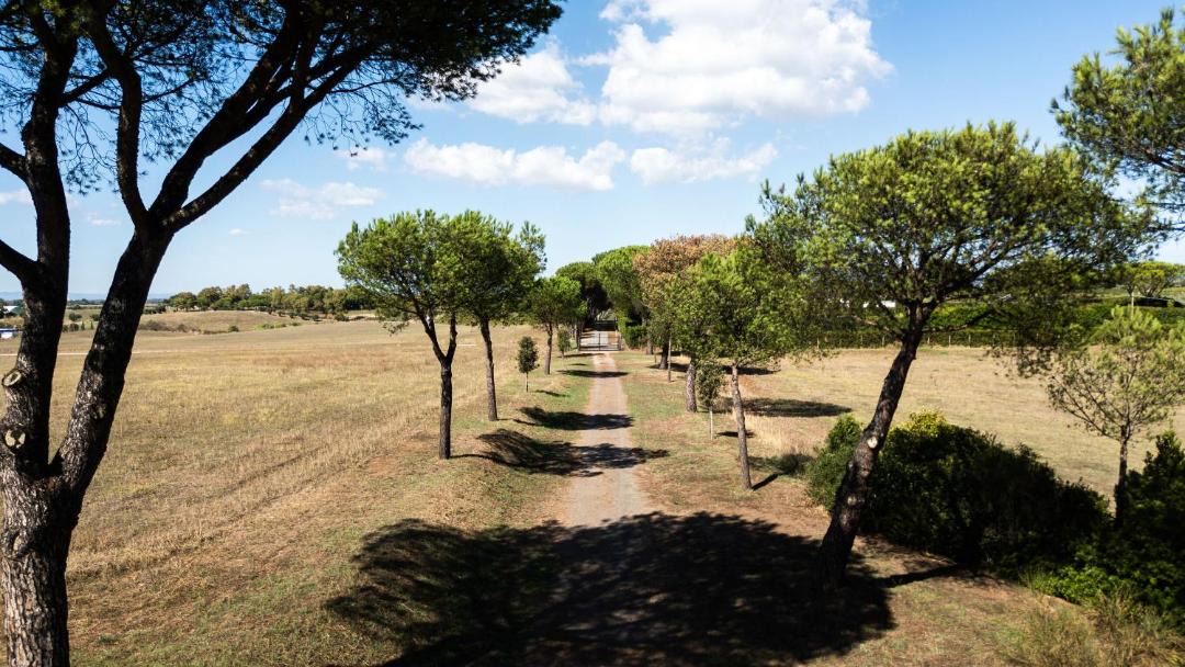 Photo of Others in Rome Province