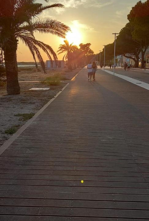 Photo of Others in Solarussa