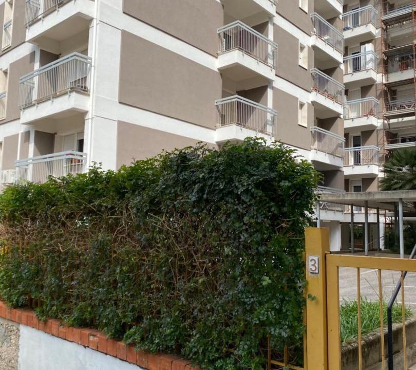Photo of Others in Sassari