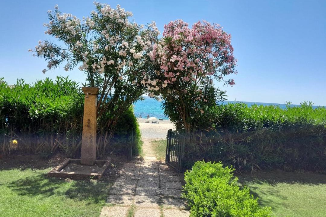 Photo of Others in Torre di Bari