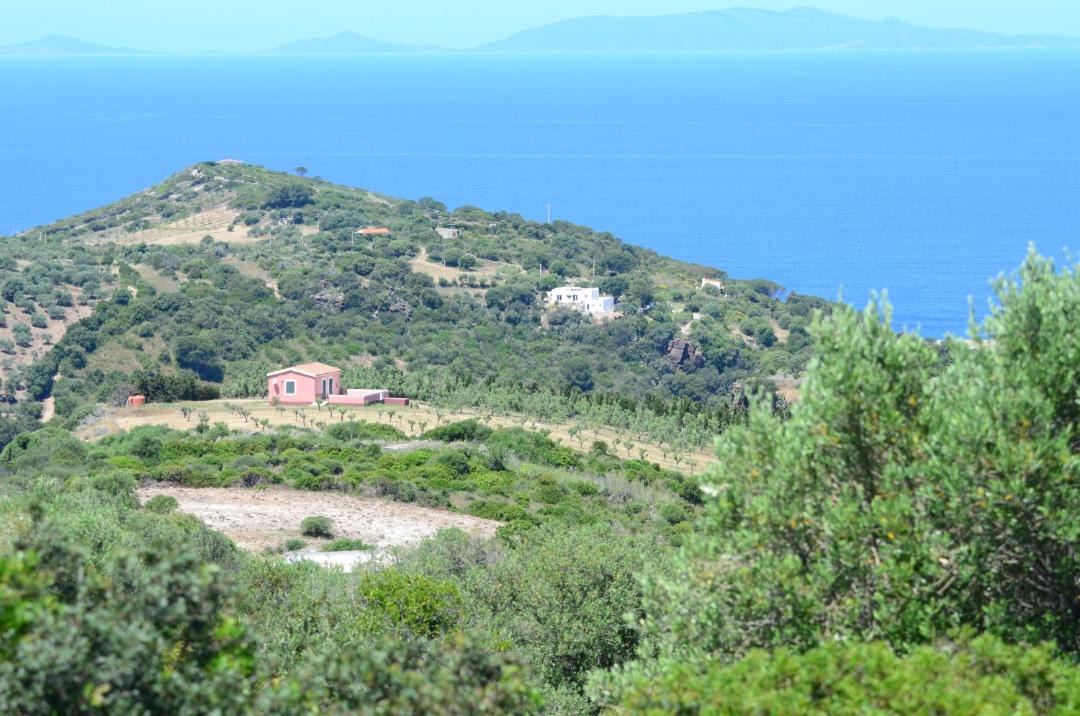 Photo of Others in Castelsardo