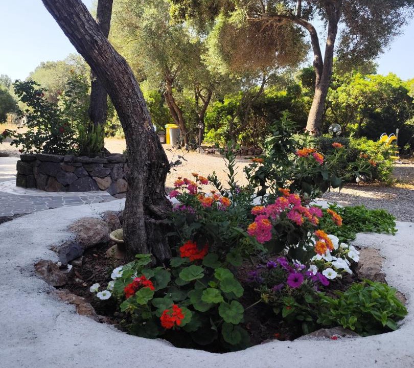 Photo of Outdoor in Dorgali