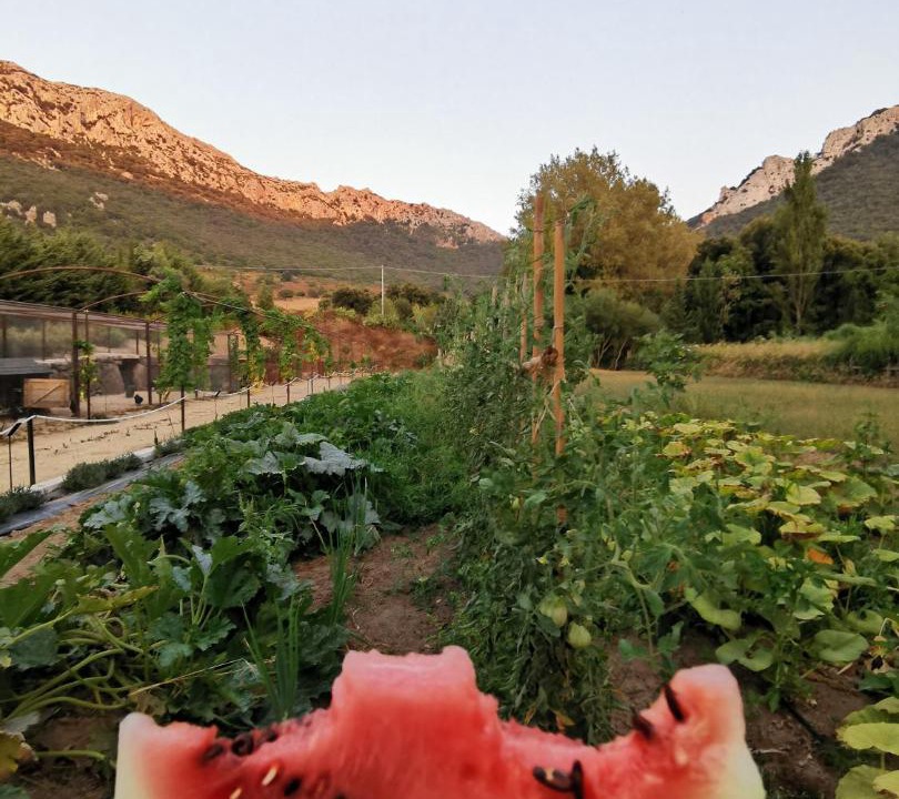 Photo of Others in Dorgali