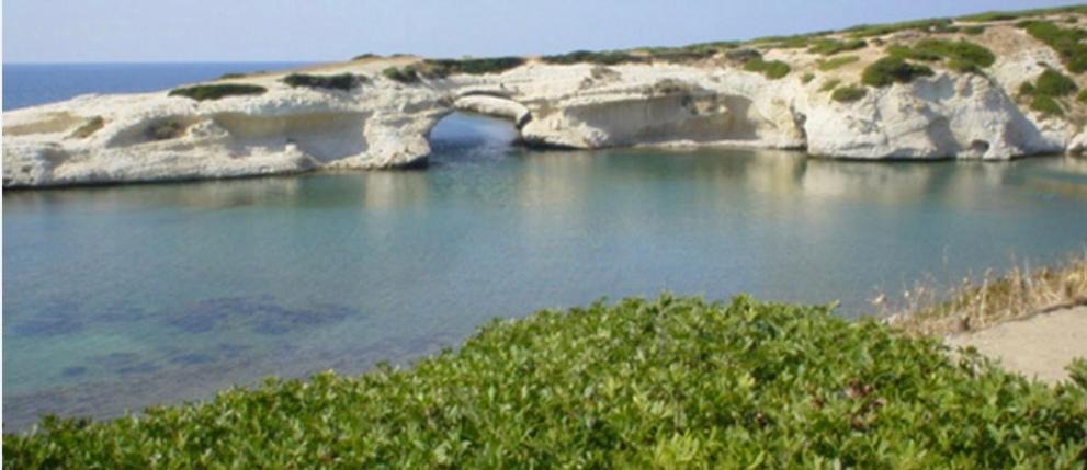 Photo of Others in Narbolia