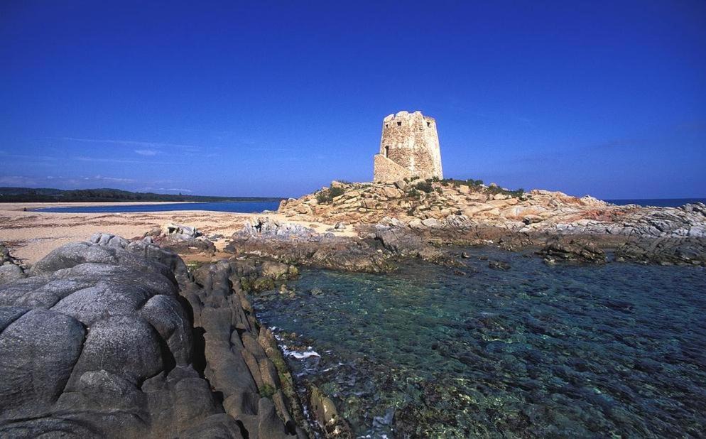 Photo of Others in Torre di Bari