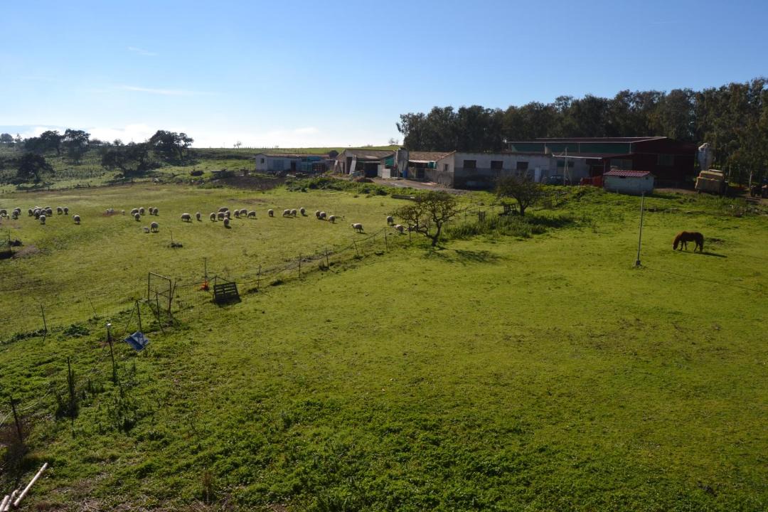 Photo of Others in Tula