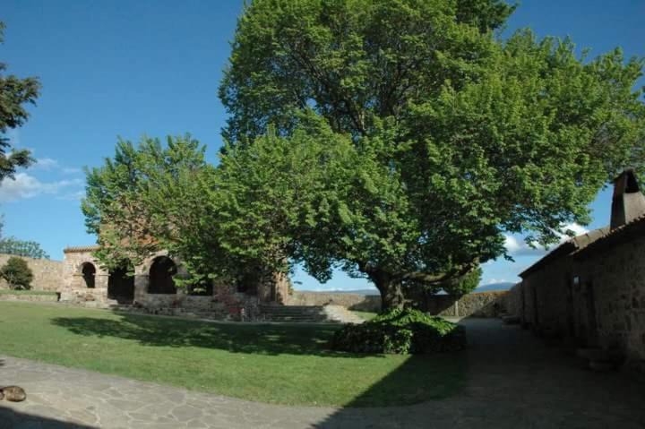 Photo of Others in Tula