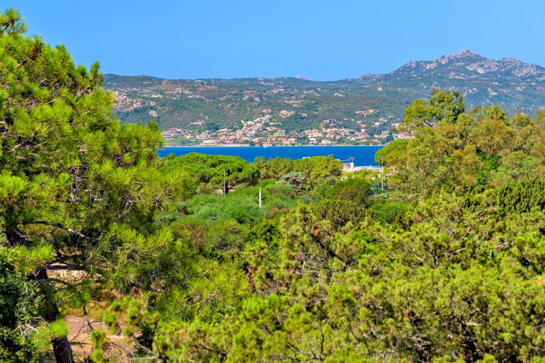 Photo of Others in Baja Sardinia