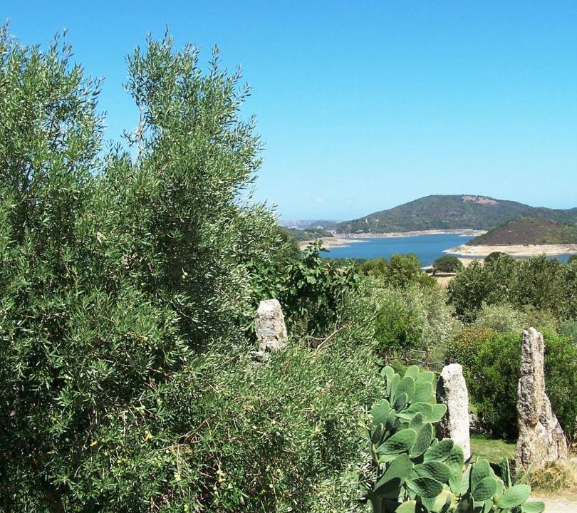 Photo of Outdoor in Sa Castangia