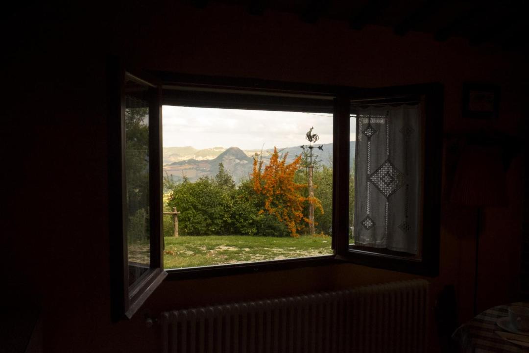 Photo of Others in Novafeltria