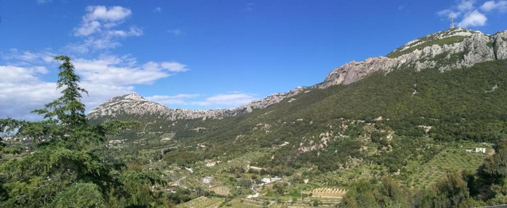 Photo of Others in Dorgali