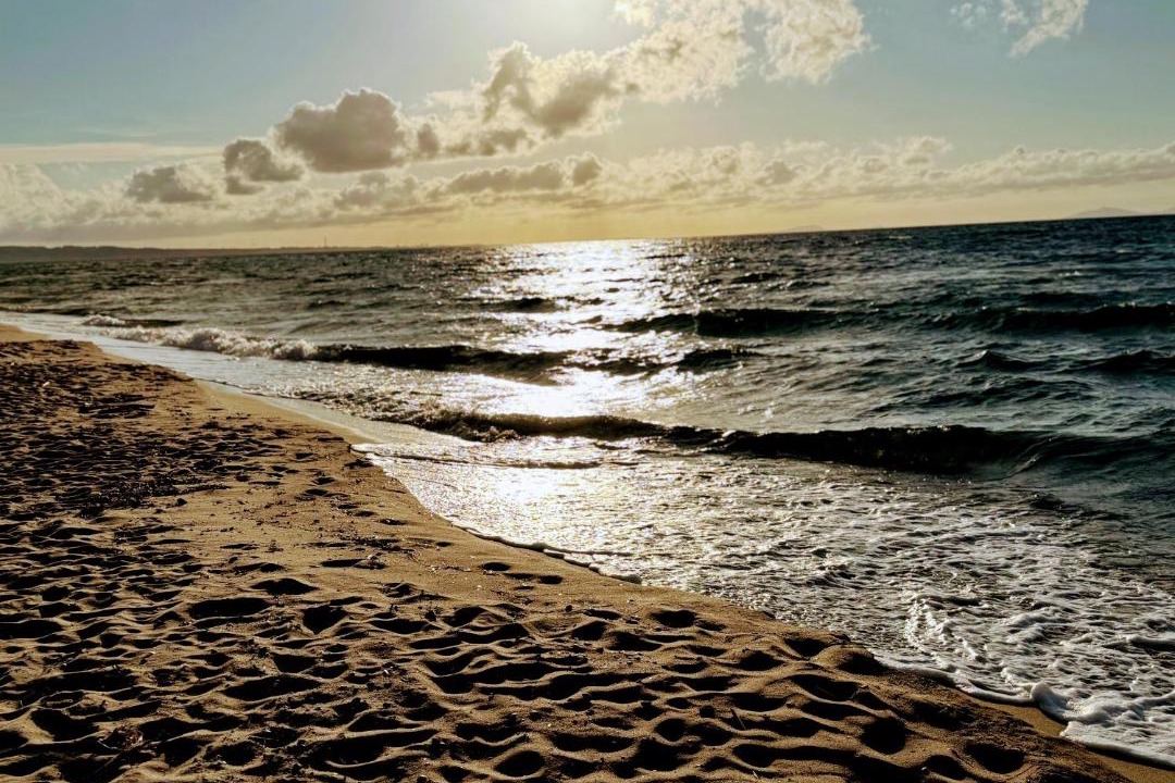Photo of Others in Eden Beach