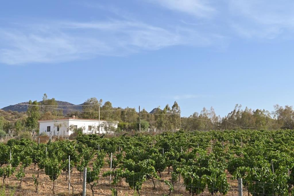 Photo of Others in Muravera