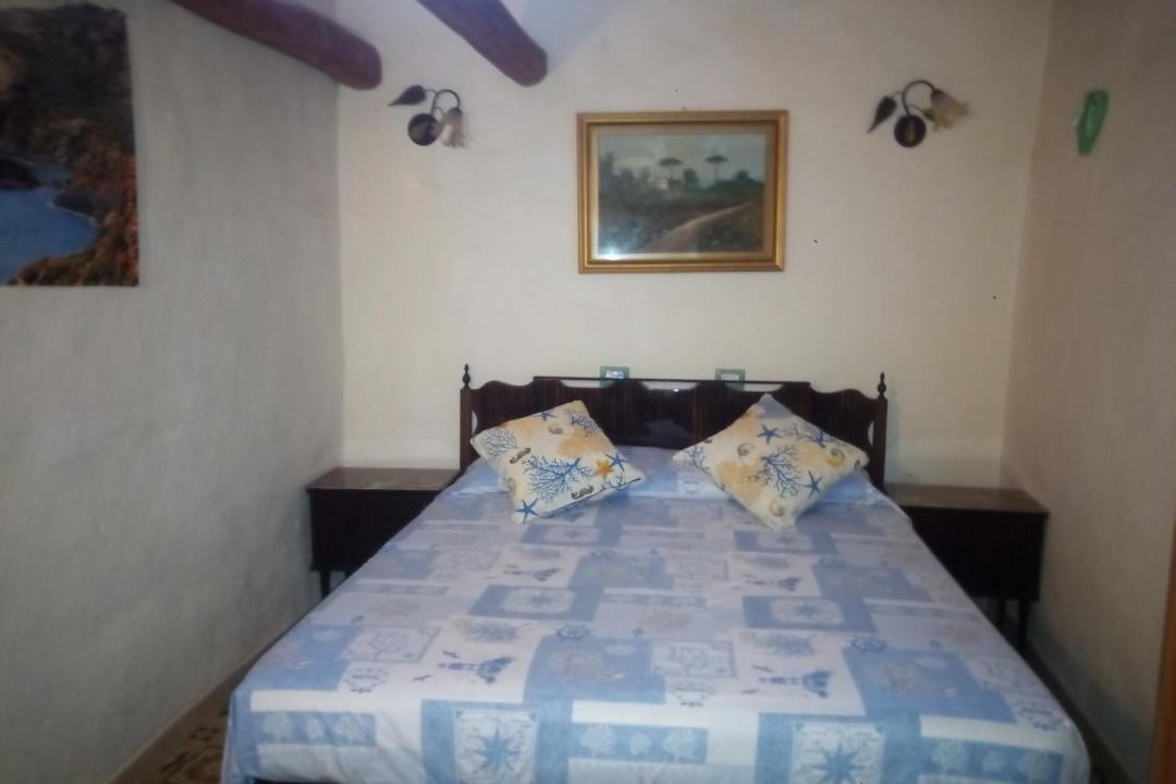 Photo of Others in Zeddiani