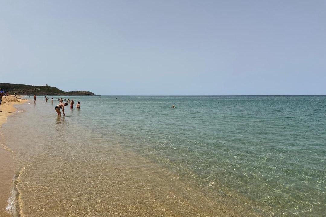 Photo of Others in Terralba