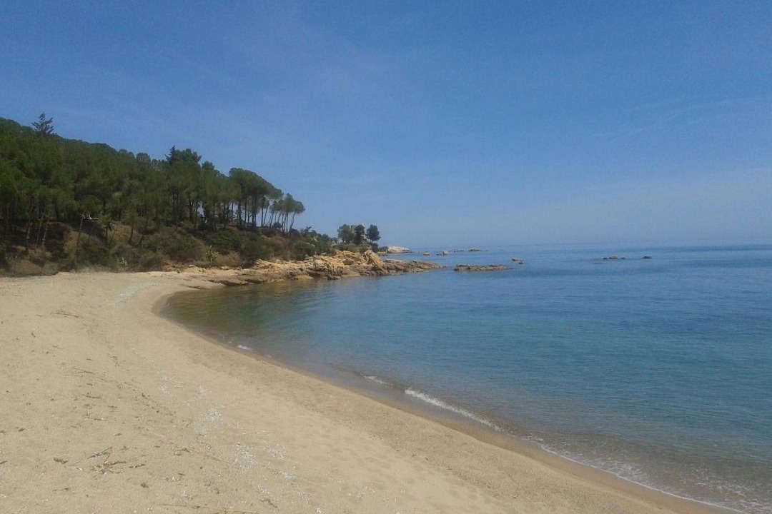 Photo of Others in Tancau Sul Mare