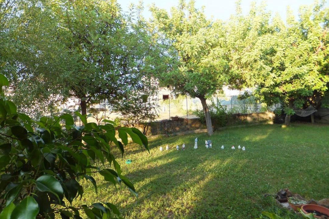 Photo of Others in Galtelli