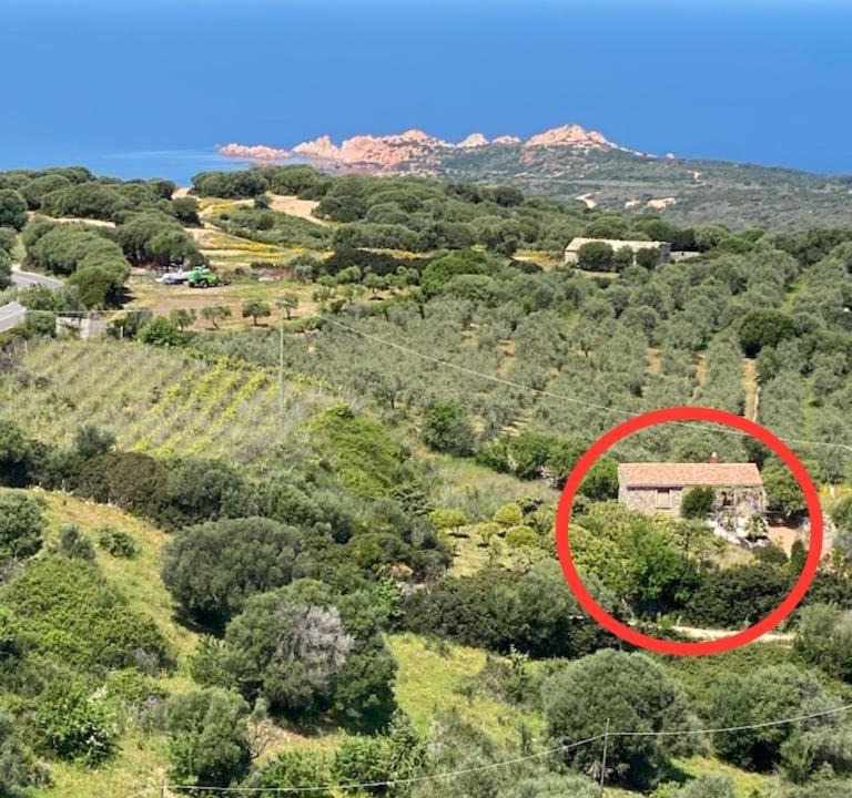 Photo of Others in Trinita d'Agultu