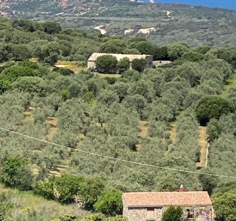Photo of Others in Trinita d'Agultu