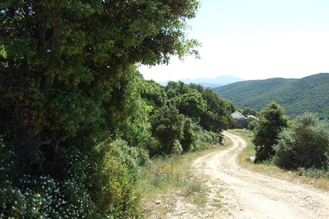 Photo of Outdoor in Luogosanto