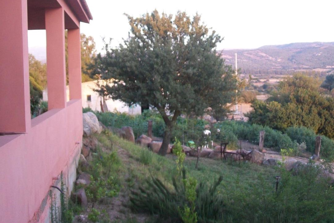 Photo of Others in Bortigiadas