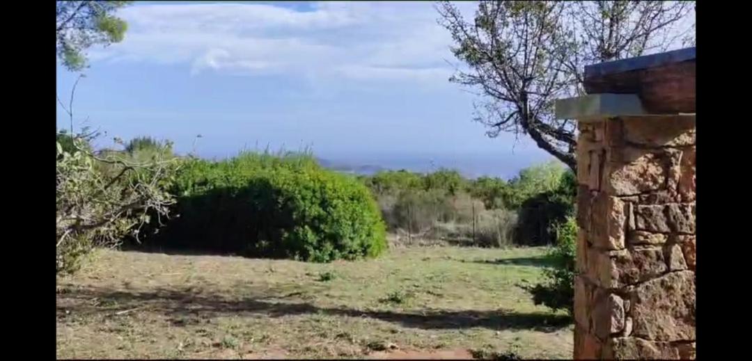 Photo of Others in San Teodoro
