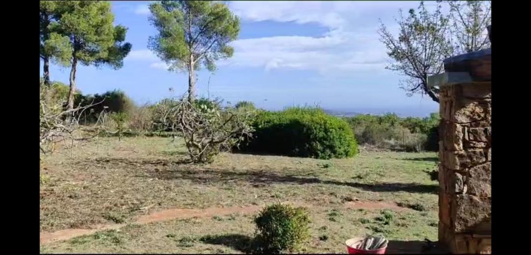 Photo of Others in San Teodoro