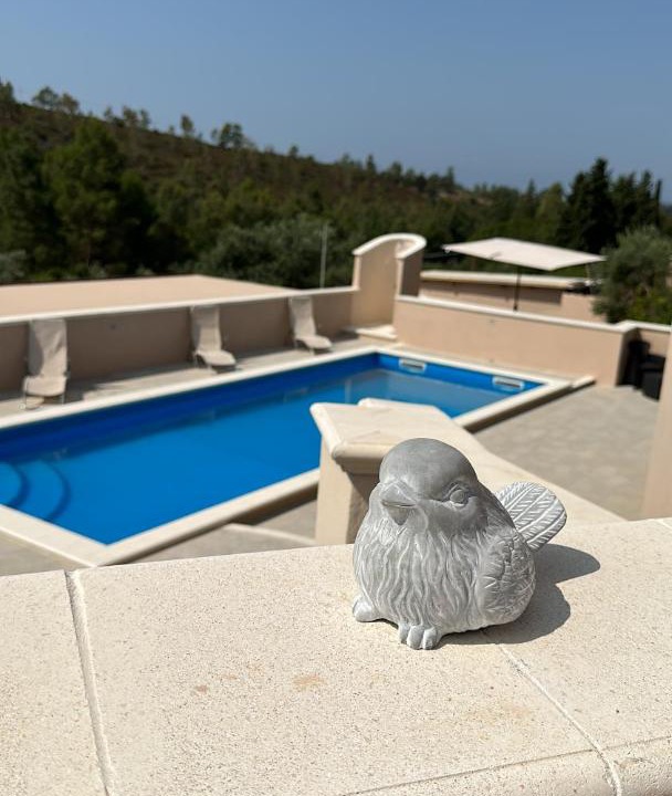 Photo of Others in Villaggio delle Mimose