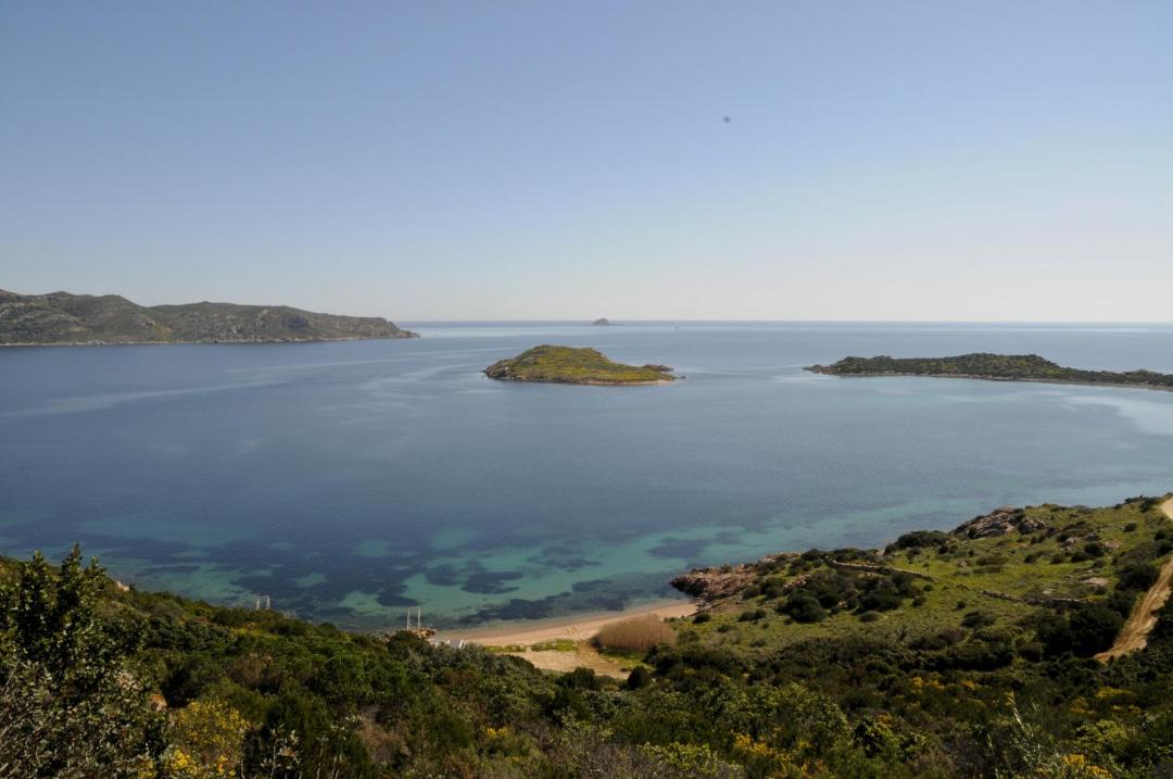 Photo of Others in San Teodoro