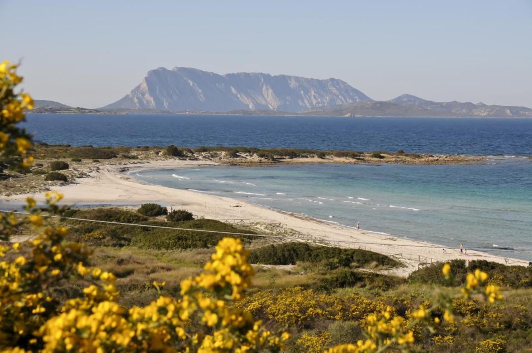 Photo of Others in San Teodoro