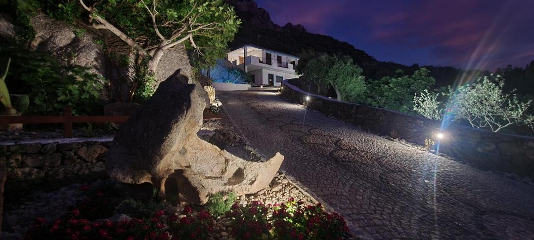 Photo of Others in Dorgali